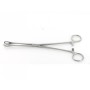 Pinza foerster - 25 cm