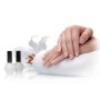 Manicure-pedicure promed the file 625 mod. 116510