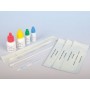 Test strep-a - dual color - striscia - conf. 50 pz.