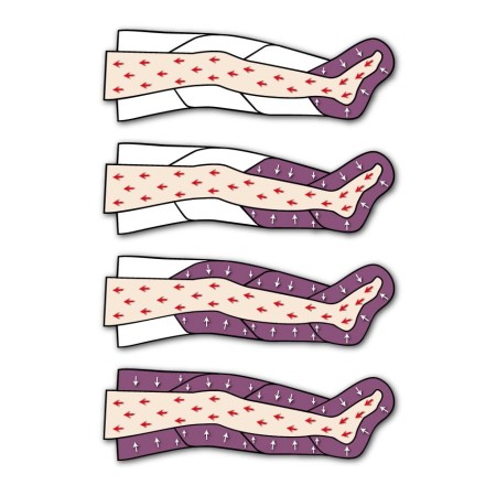 Pressoterapia pressomedical 1.0 dotazione advance (2 gambali + fascia addominale)