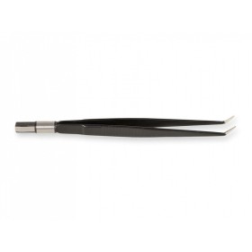 Pinza 