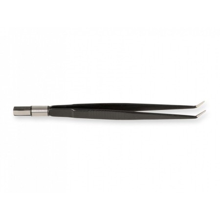 Pinza