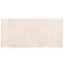 Carta termica ecg 110x20 mmxm - rotolo griglia arancio - conf. 10 rotoli