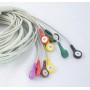 Cavo paziente 10 fili iec con bottone per ecg cardioline 100s, 100l e 200l