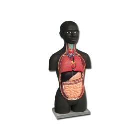 Mini torso - african - 16 części