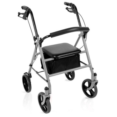 Rollator pieghevole in acciaio verniciato – teti – argento 