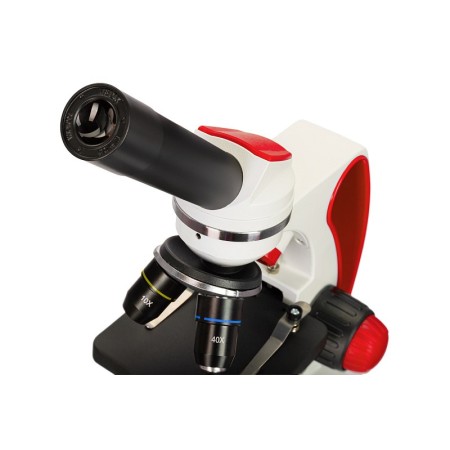 Microscopi levenhuk discovery pico