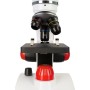 Microscopi levenhuk discovery pico