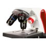 Microscopi levenhuk discovery pico