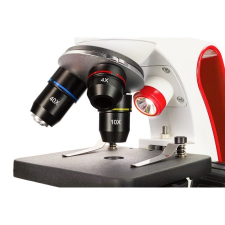Microscopi levenhuk discovery pico