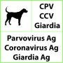 Test rapido veterinario cpv+ccv+giardia per parvovirus, coronavirus, giardia - 10 test
