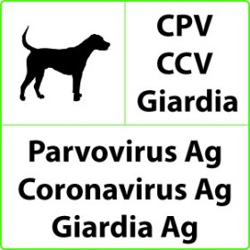 Szybki test weterynaryjny cpv+ccv+giardia na parwowirus, koronawirus, giardia - 10 testów