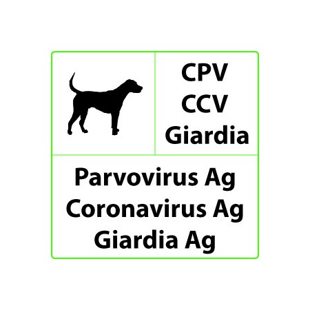 Test rapido veterinario cpv+ccv+giardia per parvovirus, coronavirus, giardia - 10 test