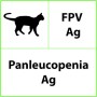 Test rapido veterinario fpv ag panleucopenia - 10 test