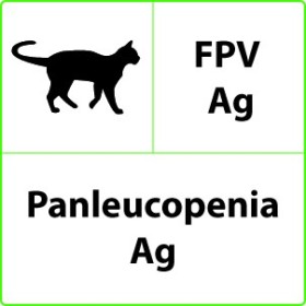 Állatorvosi gyorsteszt fpv ag panleukopenia - 10 tesztek