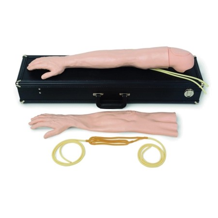 Kit braccio d'addestramento iv multi-venous maschile