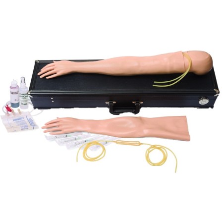 Kit braccio d'addestramento iv multi-venous femminile
