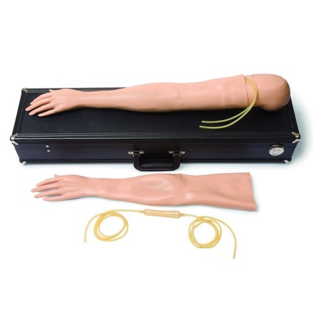 Kit braccio d'addestramento iv multi-venous femminile