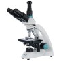 Microscopio trinoculare levenhuk 500t