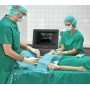 Aghi stimolabili b. braun stimuplex d sh 22gx80mm,15° - 25 pz.