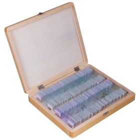 Set di vetrini preparati bresser 100 pezzi con scatola