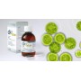 Dkx plus alimento a fini medici speciali multivitaminico pediatrico 100ml