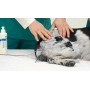Stimvet 2000 globus - elettrostimolatore muscolare e antalgico per veterinaria