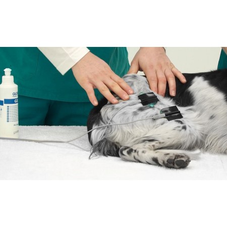Stimvet 2000 globus - elettrostimolatore muscolare e antalgico per veterinaria