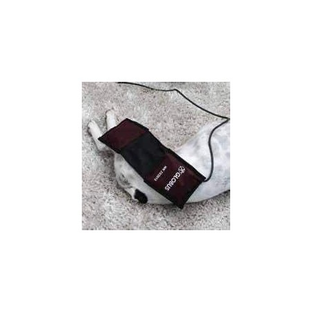Magnetoterapia veterinaria globus magnetovet 4000