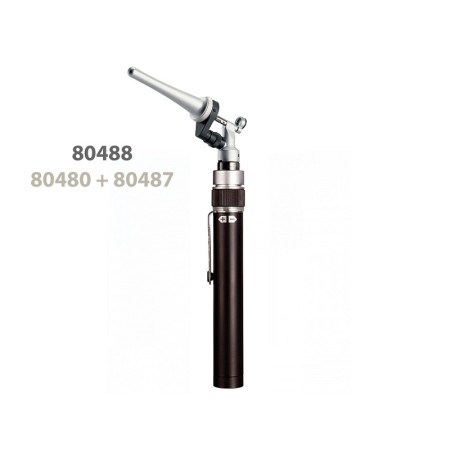 Manico tipo "aa" riester per 80480 - 10642