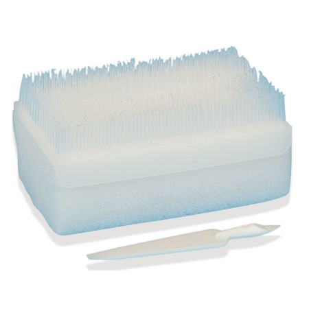 Kit spazzola clorexidina - pack italiano - conf. 30 pz.