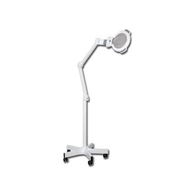 Lampe mit dermalierter linse - auf trolley