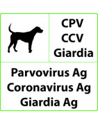 Veterinar