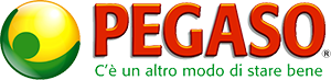 Pegaso